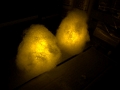 DaddyProject_Fires-Phase1 (4)